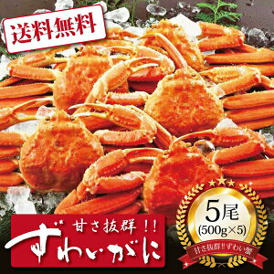 yz[ {C킢Ɏp500g5 ]  j oYj Vzj Cj Mtg 蕨