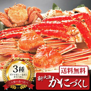 yz[ VE務ɂÂ250 ]  j oYj Vzj Cj Mtg 蕨