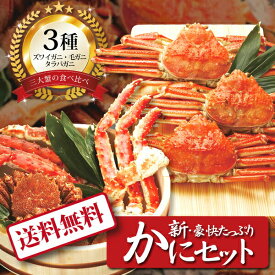 【ポイント5倍】[ 新・豪快たっぷりかにかにセット300 ]お取り寄せ 送料無料 内祝い 出産内祝い 新築内祝い 快気祝い ギフト 贈り物