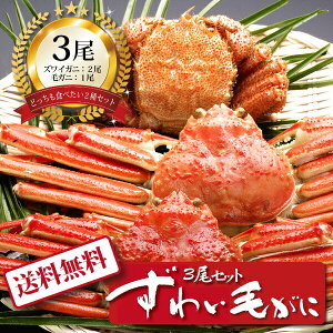 yz[ 킢т3Zbg(45-35) ]  j oYj Vzj Cj Mtg 蕨