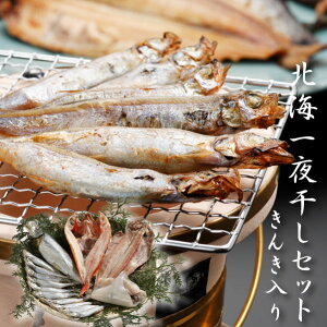 yz[ kC銱Zbg񂫓 ]  j oYj Vzj Cj Mtg 蕨