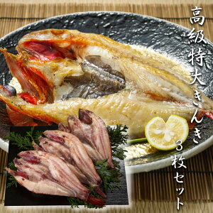 yz[ 傫3Zbg ]  j oYj Vzj Cj Mtg 蕨