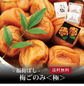 yz[ ~ڂ ~̂݁Ɂ ]  j oYj Vzj Cj Mtg 蕨