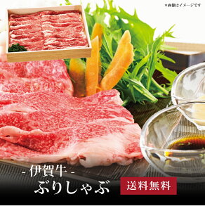 yz[ ɉꋍ Ԃ肵500g ]  j oYj Vzj Cj Mtg 蕨