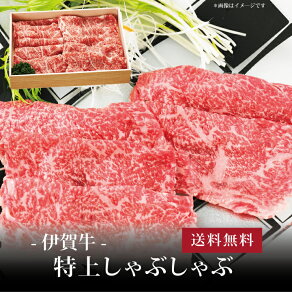 yz[ ɉꋍ サԂ500g ]  j oYj Vzj Cj Mtg 蕨