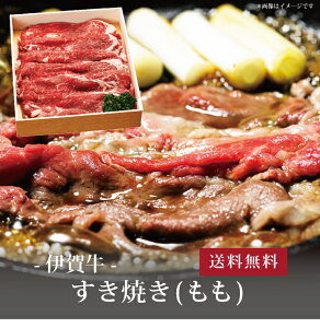 yz[ ɉꋍ Ă300g() ]  j oYj Vzj Cj Mtg 蕨