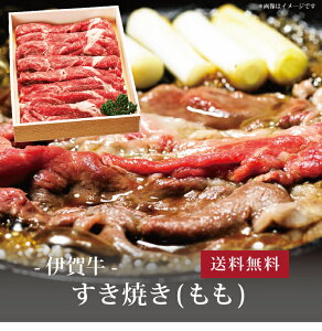 yz[ ɉꋍ Ă500g() ]  j oYj Vzj Cj Mtg 蕨