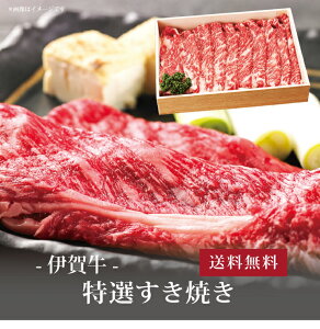 yz[ ɉꋍ IĂ700g ]  j oYj Vzj Cj Mtg 蕨