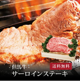 【ポイント5倍】[ 但馬牛 サーロインステーキ250g×2枚 ]お取り寄せ 送料無料 内祝い 出産内祝い 新築内祝い 快気祝い ギフト 贈り物