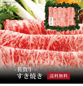 yz[ ꋍ Ă700g ]  j oYj Vzj Cj Mtg 蕨