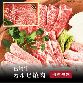 yz[ {苍 Jrē300g ]  j oYj Vzj Cj Mtg 蕨
