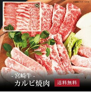 yz[ {苍 Jrē400g ]  j oYj Vzj Cj Mtg 蕨