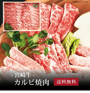 yz[ {苍 Jrē600g ]  j oYj Vzj Cj Mtg 蕨