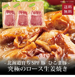 yz[ kC炿SPF Ђܓ ɂ̃[XIĂ700g ]  j oYj Vzj Cj Mtg 蕨