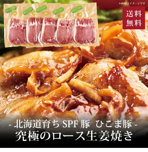 yz[ kC炿SPF Ђܓ ɂ̃[XIĂ1kg ]  j oYj Vzj Cj Mtg 蕨