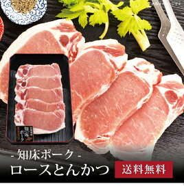 【ポイント5倍】[ 知床ポーク・ロースとんかつ120g×5枚 ]お取り寄せ 送料無料 内祝い 出産内祝い 新築内祝い 快気祝い ギフト 贈り物