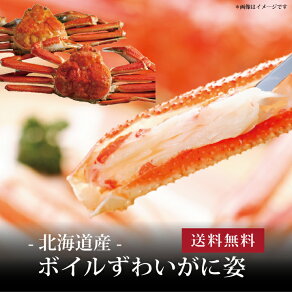 yz[ {C킢Ɏp500g2 ]  j oYj Vzj Cj Mtg 蕨