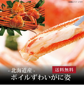 yz[ {C킢Ɏp450g3 ]  j oYj Vzj Cj Mtg 蕨