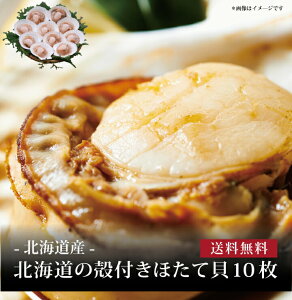 yz[ kC̊ktقĊL20 ]  j oYj Vzj Cj Mtg 蕨