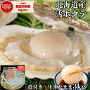 貝付き 殻付きホタテ 活ホタテ 3Kg 生きたまま 北海道 オホーツク海産 ホタテ 帆立 殻付き バーベキュー 剥きヘラ付 ホタテ殻付き ホタテ刺身 紋別 海産物 生きたまま 生ホタテ ギフト ホタテ紋別 紋別ホタテ