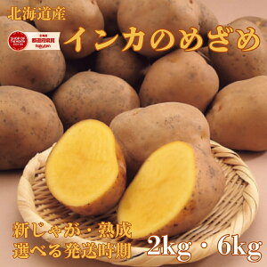 y\񏤕izkCY CĴ߂ 2Kg 6Kg Iׂ锭 z~ n VႪ CJ̖ڊo CJ n WKC C _Y  Â Ⴊ Ⴊo^[ CJ  ߂ 
