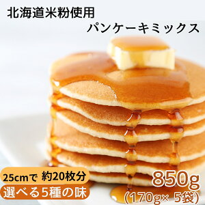 ĕ̃pP[L~bNX kCYĕgp 850g (e170g×5) Iׂ5 v[ RRA [v   ĕ pP[L~bNX Oet[ zbgP[L~bNX ĕpP[L