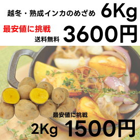 【最大100％ポイントバック】 熟成インカのめざめ 2Kg/6Kg インカの目覚め 熟成 ジャガイモ イモ 農産物 数量限定 甘い じゃがいも 甘いじゃがいも インカ じゃがバター インカ の めざめ 甘い 芋 じゃがいも いんか じゃがいも 北海道 男爵 じゃがいも