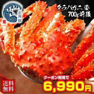 yԌSALE50OFFN[|LIz Ε Mtg kCY ^oI p Jj  I 700gO ΂ ^oKj  ΃Kj ^o {C^o {CI Jjp 