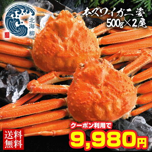 Ε Mtg yԌSALE2Zbgw4,000~OFFN[|LIz Jj  I YCKj 500gO 2 Zbg 킢 p YC YCI 񂹃O JjMtg Hו Hi 