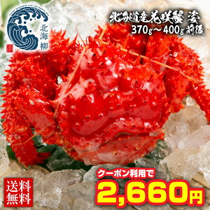 y3w1^_0~IN[|Iz Ε Mtg kCY ԍI p Jj  I 370`400gO ԍ炪 ͂ȂKj ԍ ԍKj {CI Jjp 񂹃O JjMt