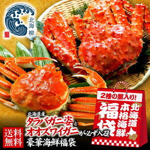 Ε Mtg ^oKjKICN S6`8_ 󂠂 CN  ^o  Y kCO |Cg Hו Hi v[g I  񂹃O Mt