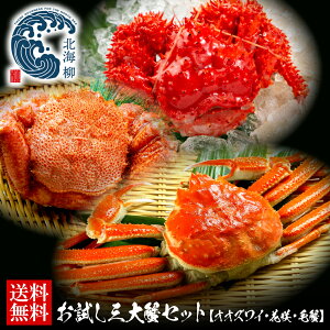 Ε Mtg yԌSALE3,000~OFFN[|LIz   OI Zbg Jj  I IIYCKj IIYC IIYCI 킢 ъI ԍI ԍKj 񂹃O