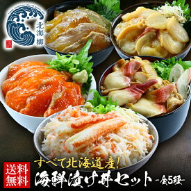 お中元 ギフト 全て北海道産 海鮮漬け丼セット 全5種【送料無料】 母の日ギフト 父の日 内祝い お返し ギフト 実用的 グルメ 誕生日 人気 北海道 食べ物 食品 おつまみ 高級 海鮮 刺身 詰め合わせ お取り寄せグルメ 冷凍食品 楽天限定