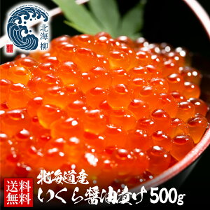  ăMtg yԌSALE20OFFN[|LIz  ݖЂ 500g kC ō̌gp̈i CN  v[g ݖЂ  WEB
