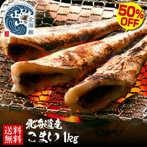 Ε Mtg yԌSALE50OFFN[|LIz kCY R}C ܂ 銱  ܂ Ɩp  Ɩp Ղ1kgO WEB