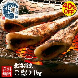  ăMtg yԌSALE50OFFN[|LIz kCY R}C ܂ 銱  ܂ Ɩp  Ɩp Ղ1kgO WEB