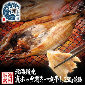  ăMtg ^ق ^zbP zbP s̈銱 kCY  WEB