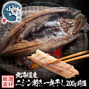 Ε Mtg ɂ񊱕 jV J kCY s̈銱  WEB