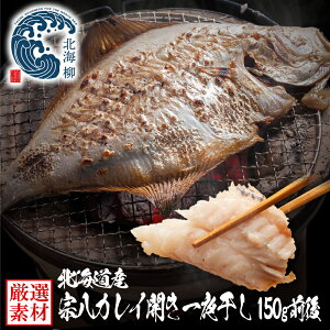 Ε Mtg @JCJ銱 kCY ꂢ JC @ s̈銱  WEB