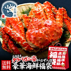 Ε Mtg ^oKjKICN S6`8_ 󂠂 CN  ^o  Y kCO |Cg Hו Hi v[g I  񂹃O Mt