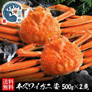 Ε Mtg yԌSALE2Zbgw4,000~OFFN[|LIz Jj  I YCKj 500gO 2 Zbg 킢 p YC YCI 񂹃O JjMtg Hו Hi 