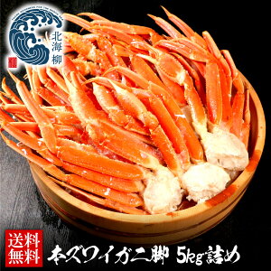 Ε Mtg yԌSALE10OFFN[|LIz YCKj 󂠂 K 5kg   I Jj YCI 킢 킢I YCɋr Jj Jjr I Ir {CJjr 