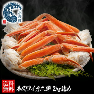 Ε Mtg yԌSALE10OFFN[|LIz Jj YCKj 2kg ɑ TCY  I YCI {C킢ɋr {C Jj Jjr  킢 킢I YC