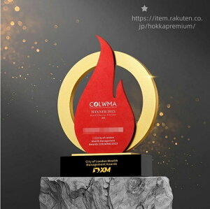 y󖳗zԂ ^gtB[ JX^}CY ACfA _ Ə \ \ \i Г\  ƋLOi  LOi DgtB[ oXP TbJ[ 싅 S