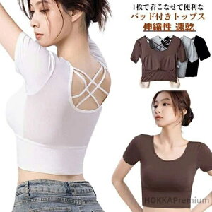 yzJbvt fB[X  KtVc seBX EFA V[g Vv pbht n ւo Xgbs[ X|[cEFA tBbglX