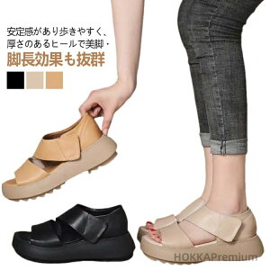 yzʋC ₷ T_ EH[LOV[Y Od gAbv r y X|[cT_ fB[X ɂ JWA y