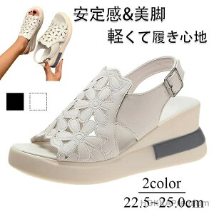 yzT_ ɂȂ r[`T_ C xN Xj[J[ X|[c T_ AEghA ₷ r X|T  V[Y ɂȂ T_ EFbW\[