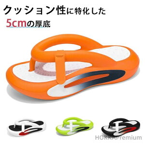 yzT_ AXbp O lԍHw jp ʋC ~ y \tggOT_ _炩Sn [V[Y jZbNX  lCXbp