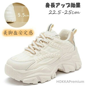 yzY KꃉjO V[Y ɂȂ Sn wC JWAXj[J[ y ɂ ₷ ʋC C s  w ʊw ʋ 22.5-25cm