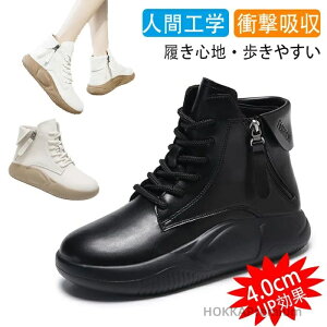 yzAV[Y Xj[J[ ~Cu[c lԍHw r r L y h~ tH~ hC EH[LOV[Y AEghAV[Y Sn Nт/